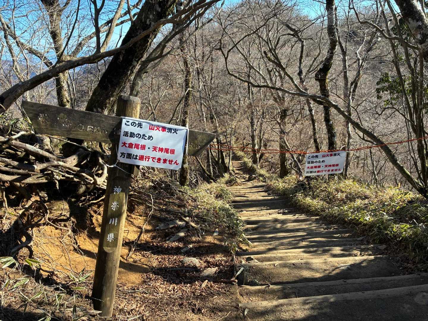 大倉尾根は通行止め。はやく収まりますように。