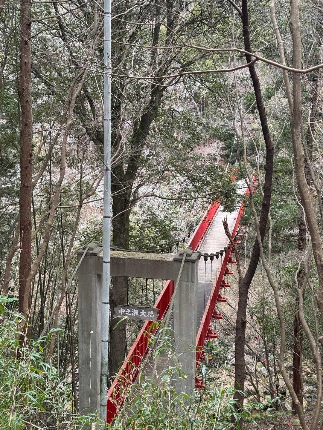 王滝渓谷入口-梟ヶ城址展望台-天下峯 周回コースの写真