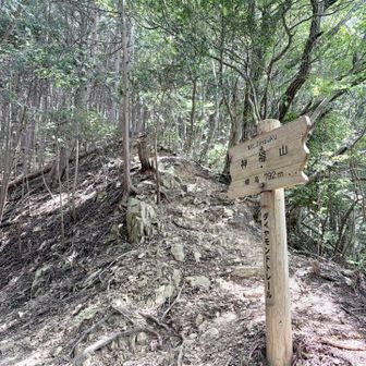 神福山😄名前に惹かれて登ってみる