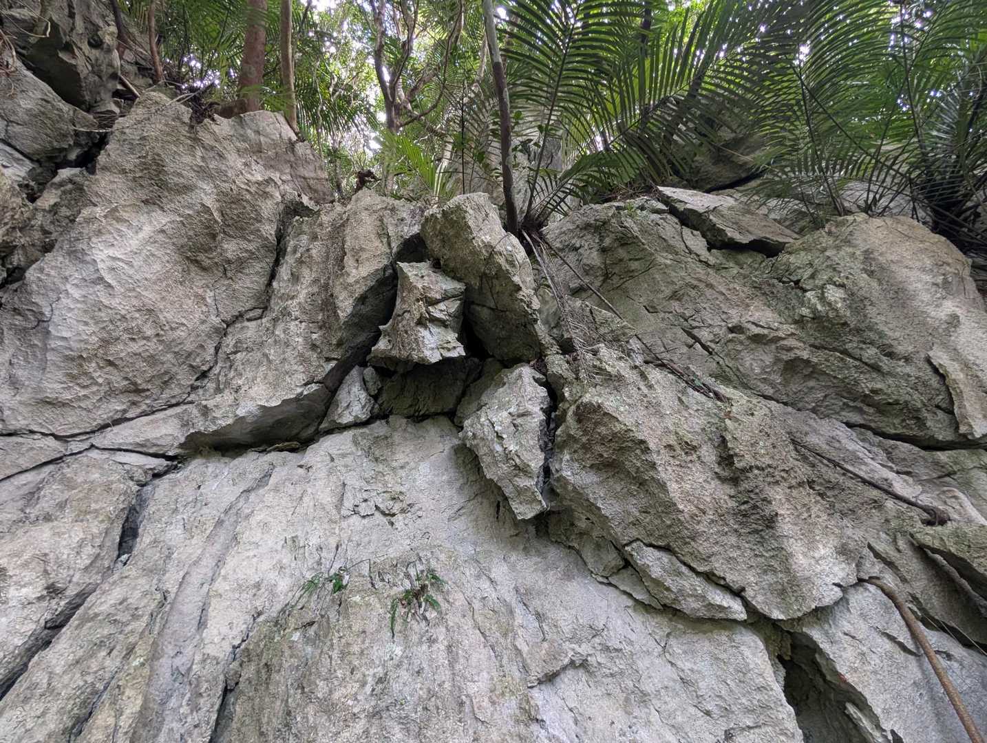 嘉津宇岳-安和岳 周回コースの写真