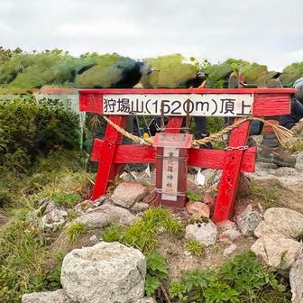 とうちゃーく