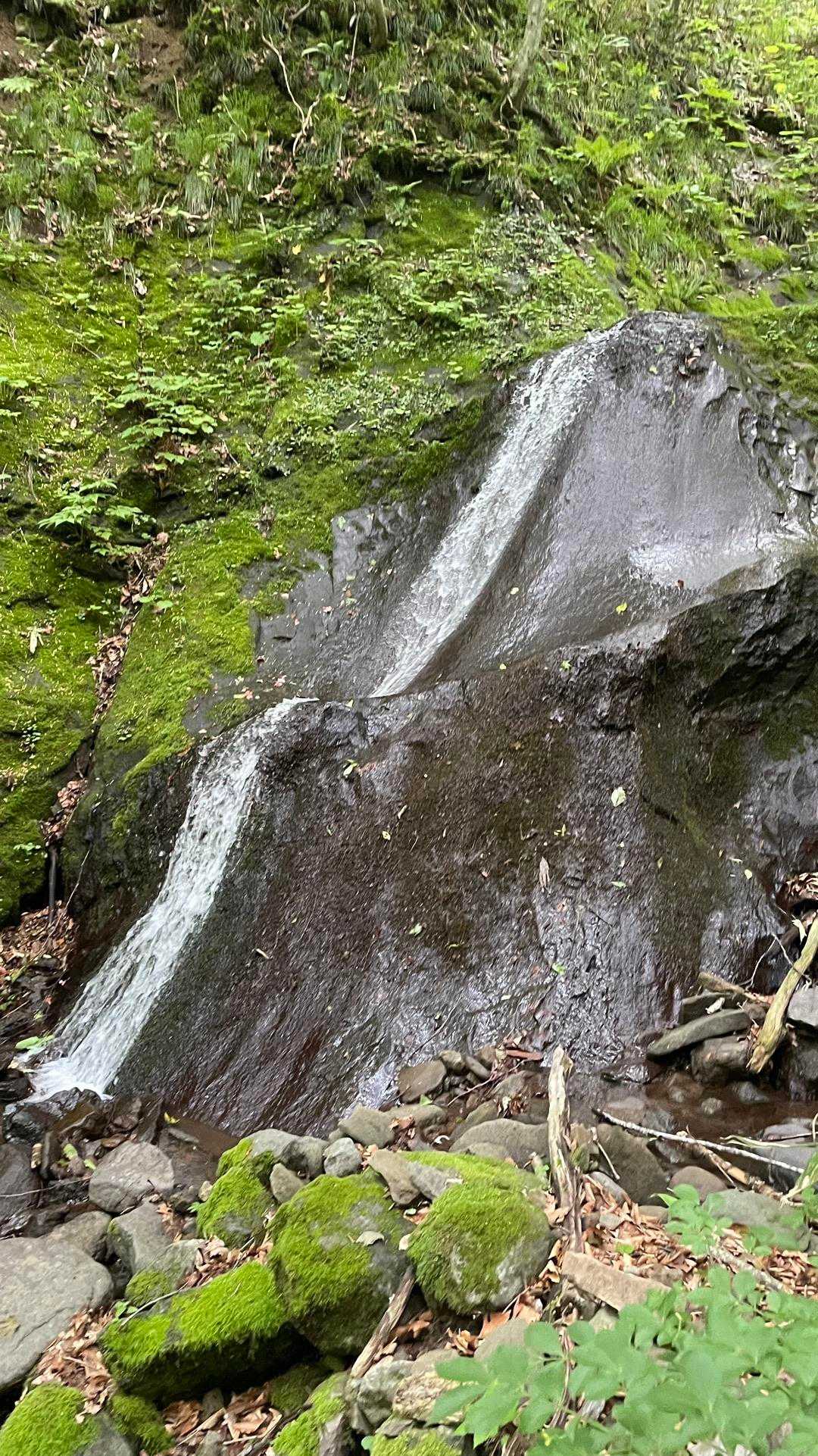 ヤンカ山 周回コースの写真