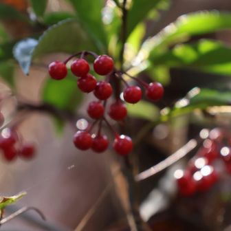 ロード歩きで帰ろっ！

縦走しようとも言ってたけど
相方さんとの山歩きは
甘えも出て
気分でプランがころころ変わる…