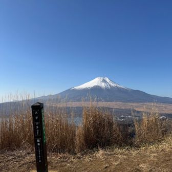大平山
ここが広くて視界良く、1番気持ちのいい場所でした♪
東屋とベンチが多数ありゆっくりできます
絶景見ながら卵サンド食べました
