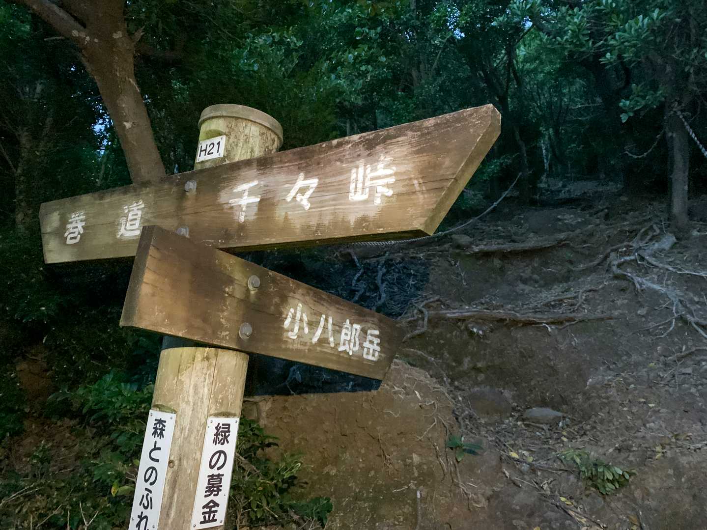 分岐
巻道ではなく小八郎岳を経由します。