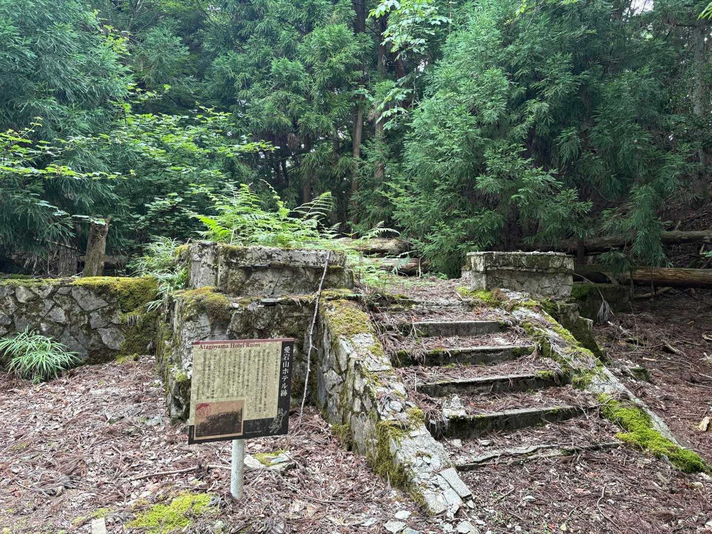 廃墟経由で下山