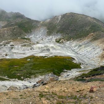火山ガス🌋