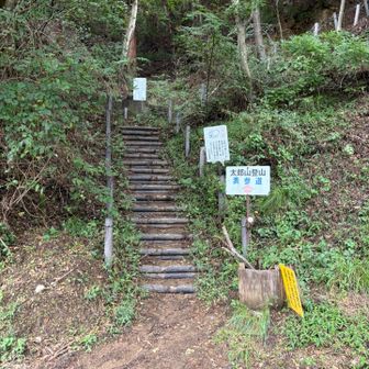 今日も無事下山‼️
最後までお付き合い頂きありがとうございました🎵