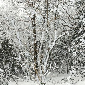 どこ見ても白黒写真みたいです