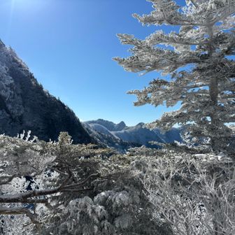 稲村、大日も盛況でしょうね。
