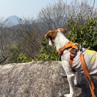 涼み岩は少し怖かったかな
