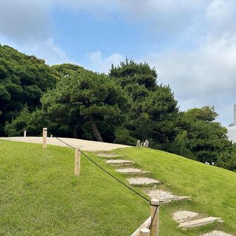 新樋の口山の山頂　あっという間に登頂です😆