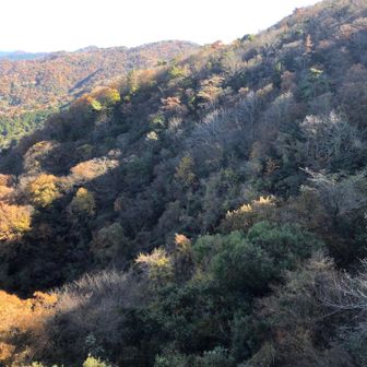 明神岩からの景色。葉っぱの残っていない木も目立ちます。紅葉ももう終わり。