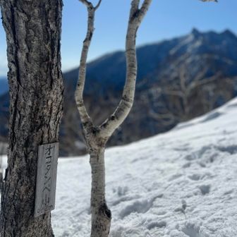 山頂標識たくさんあります