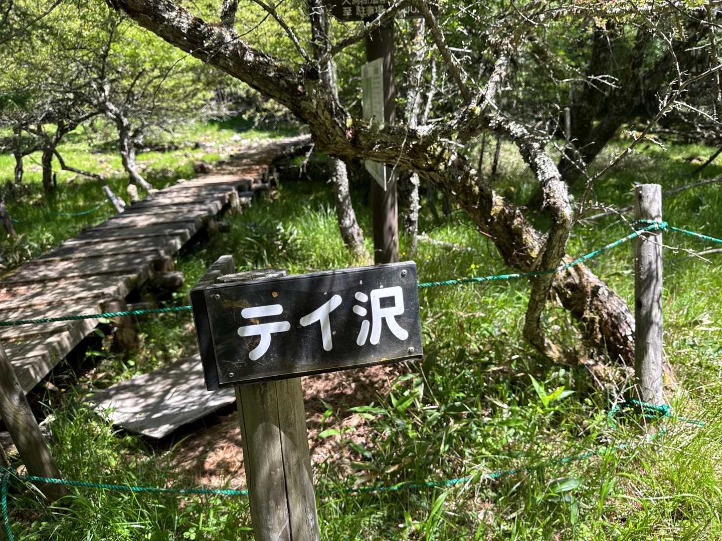 ここからテイ沢へ