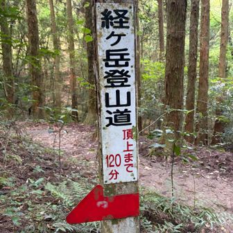 よし！頑張って歩きます
