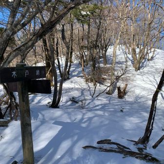 木戸峠に到着
足跡はウサギのみ
まっさらな雪は美しいのだが、かなり深い。
普通に股下まで埋まる。