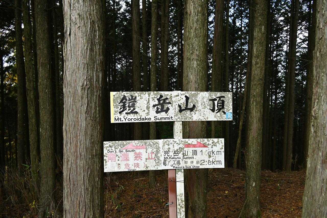 山頂に眺望はまったく無い