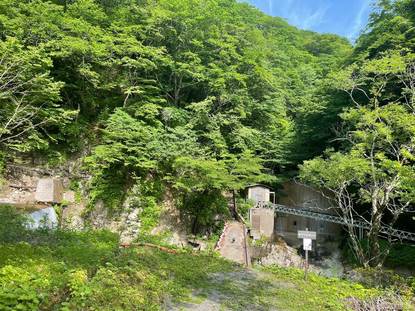 クラリスを下ろしたら
どんどん行ってしまうー
前方の橋の上に🐕