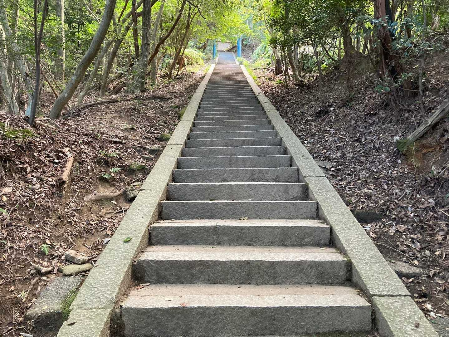 八神社登山口-善気山-法然院登山口 縦走コースの写真