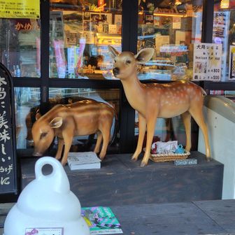 スタートが遅いのは…東京に戻る旦那を置いて先に家を出ることに罪悪感を抱いたから🤣