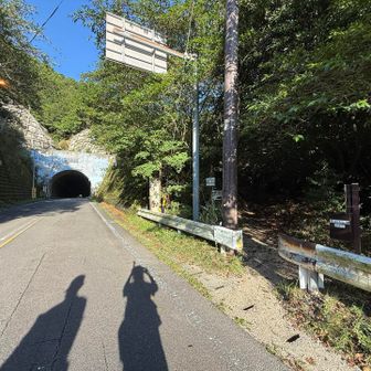 トンネル見えたら右へ➡️