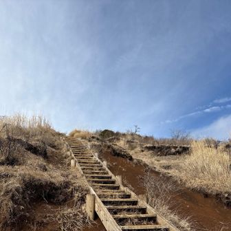 木の階段沢山ある✨
地味に足にくる🦵