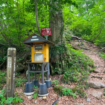 はじめての　丸森尾根より