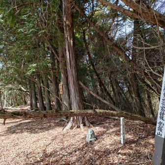 釣鐘山▲は、こんな感じ