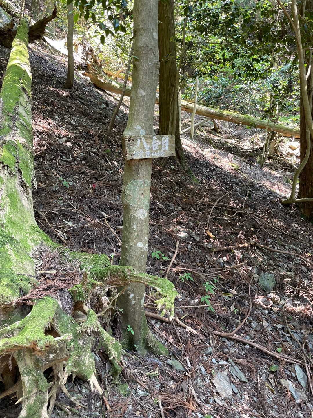 五合目登山口 往復コースの写真