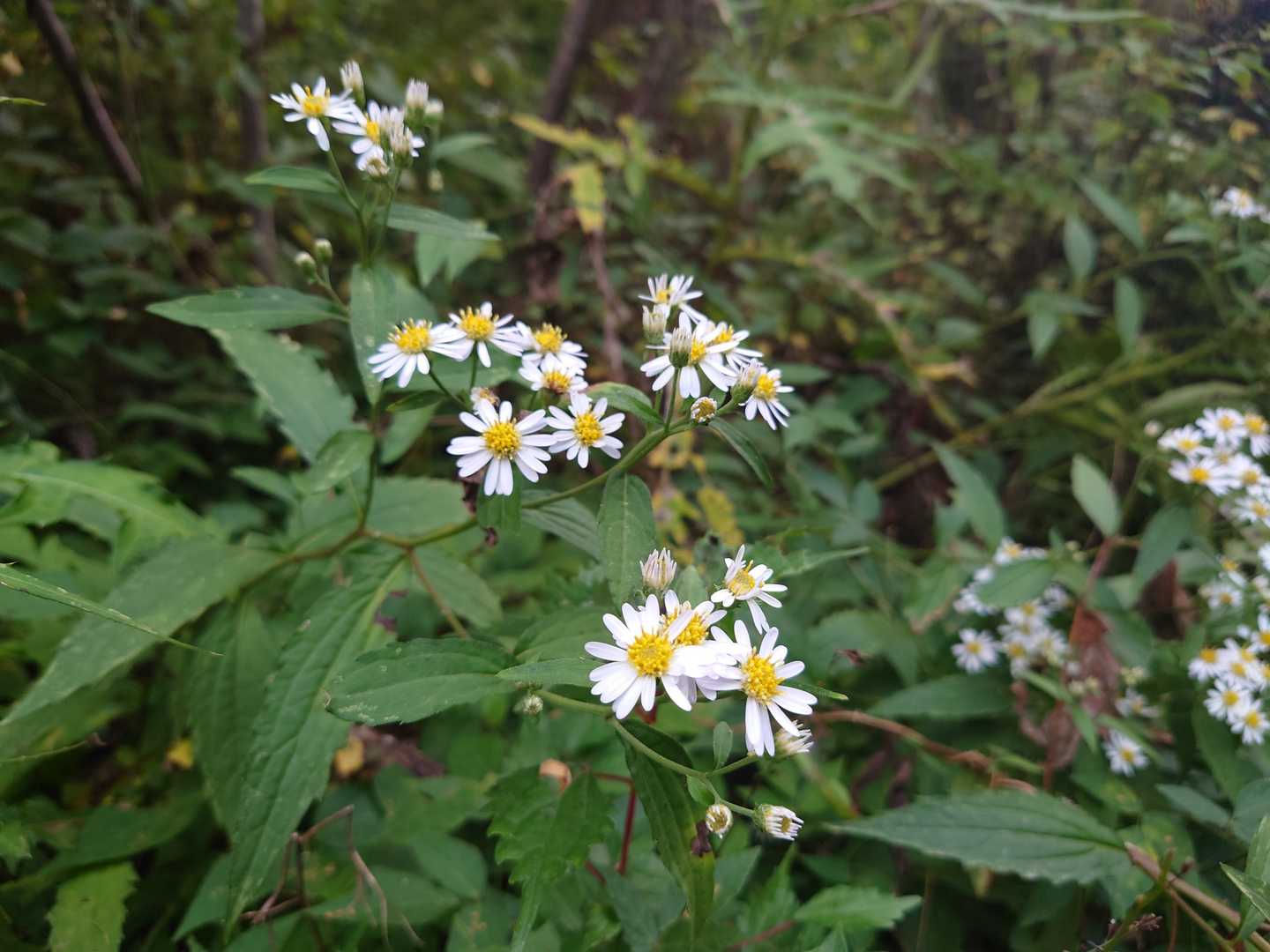 今日も安全登山　有り難うございました🙇