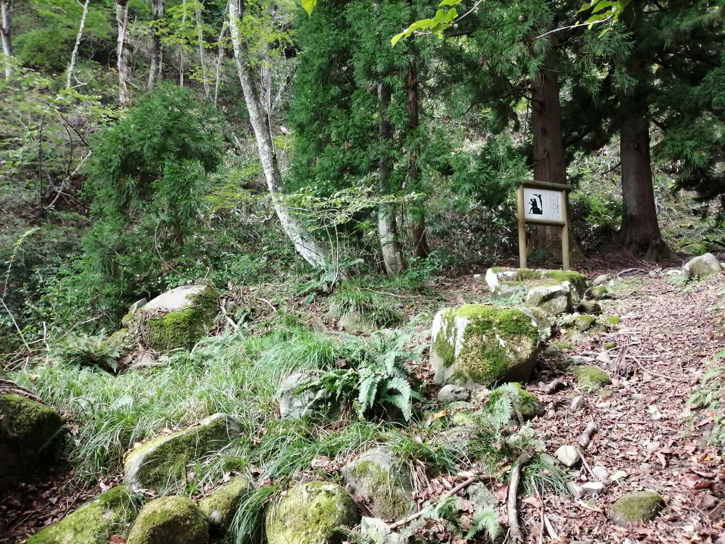 木ノ芽峠-鉢伏山 往復コースの写真