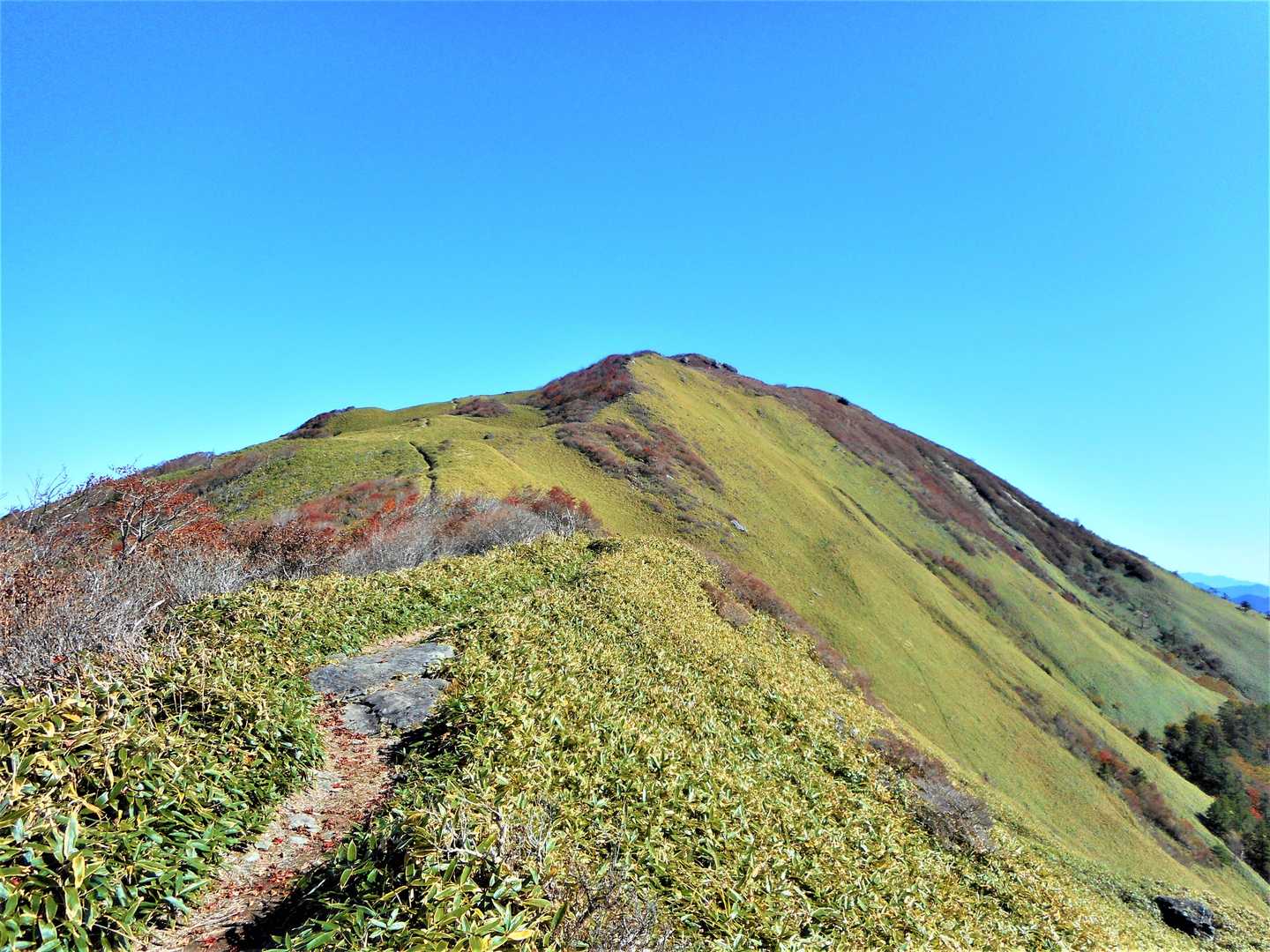 本当に気持ちいいです😌✨
この時点で下山したくない感情が溢れ出てます😜