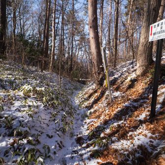 左へ曲がって空堀跡を下りていく