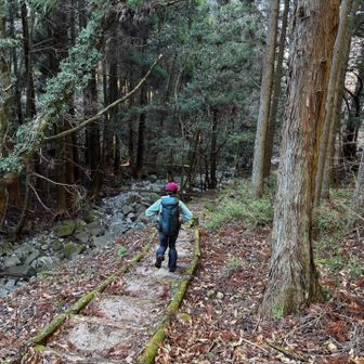 道路を交際しながら進みますが途中変な道に💧
キャンプ場や野営地跡に続く道が多数あり分かり難かったです🙁