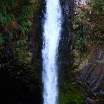 近くで見ると、なかなかの水量😲