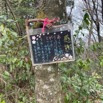 子供のことを思わない親なんていない😞