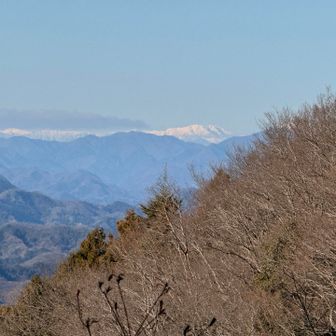 アルプス✨⁉️