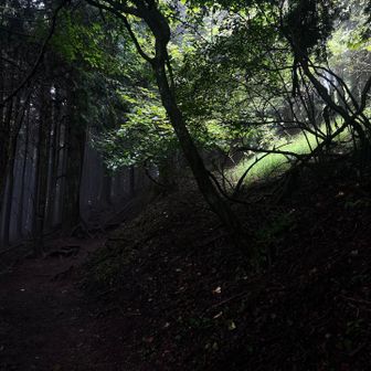 もうすぐ山頂ですよ