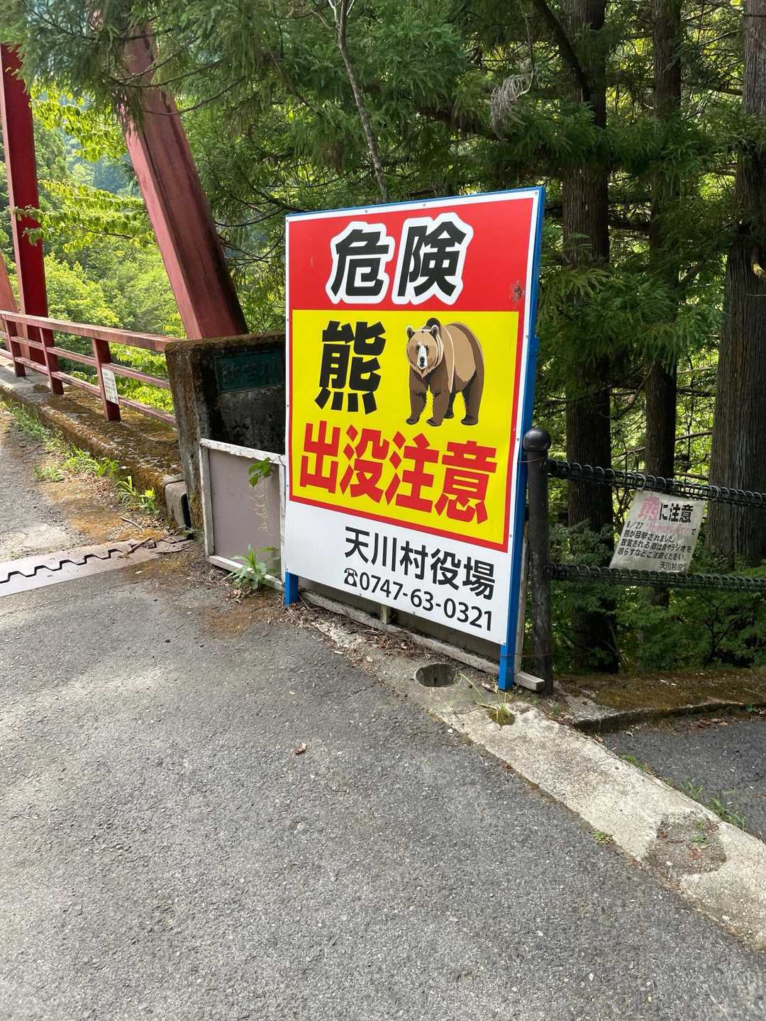今年の6月に熊が出たらしいです　😱