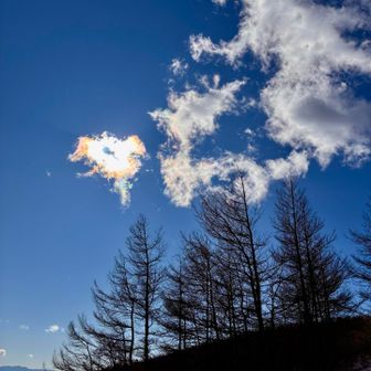 カラマツの時期も良いだろうね🍁
