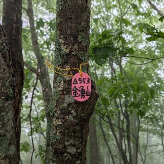なんと良い響きの山名だろう。
是非御利益に肖りたい。