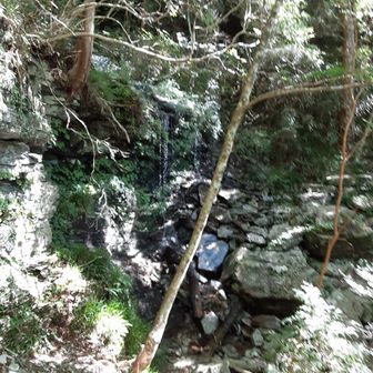 滴りがあり　水にこまりませんね