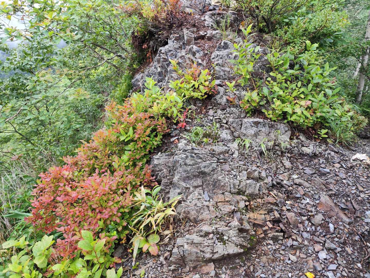 粘板岩か千枚岩かな