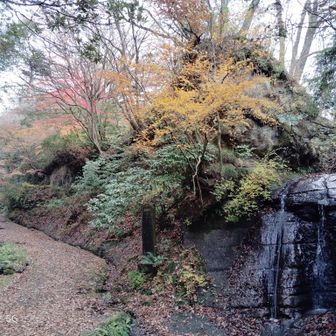けっこうきれいな水