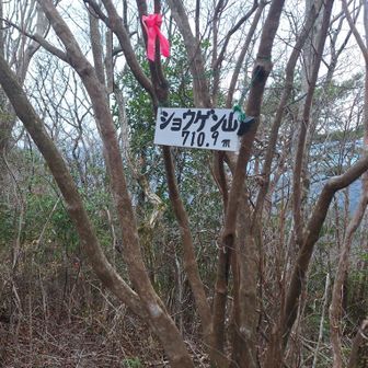 ショウゲン山山頂