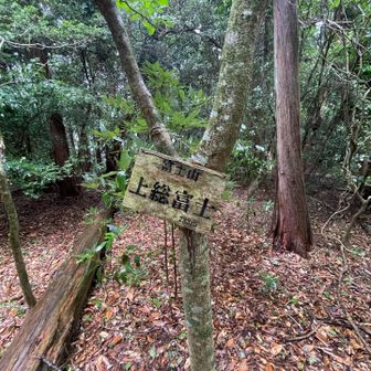 雨が強くなってきたので、頂標の写真を撮ったらすぐ下山🥲眺望も0でした
因みにゴルフ場の敷地内らしいのでゴルフボールも降ってくるみたいですよ🤭