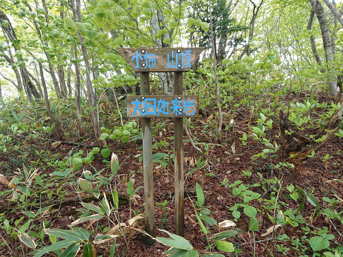 やったぁ😆山頂と思ったら違うお山でした(笑)