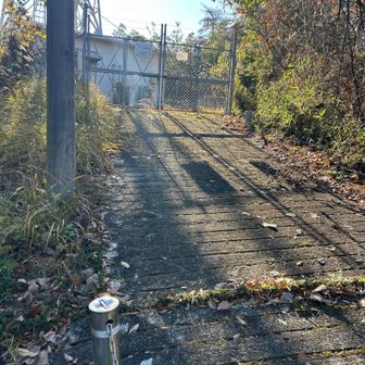 レポにあったネームプレートを見つけられず💦
フェンスに沿って歩きます