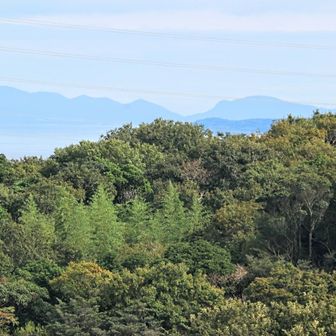 　さらにズームアップしたもの。

       ［撮影倍率：366mm(35mm版換算)］

　…今回の薮蚊の猛攻にはさすがに心が折れたが、この山頂から望めた眺望のお陰で、心も身体も元に復帰。
　次はこの鍋山の山容自体を確かめるため、一旦写真29の地点まで戻り、往路とは異なる「みんなの軌跡」を辿って出発点へと戻ることにした。
